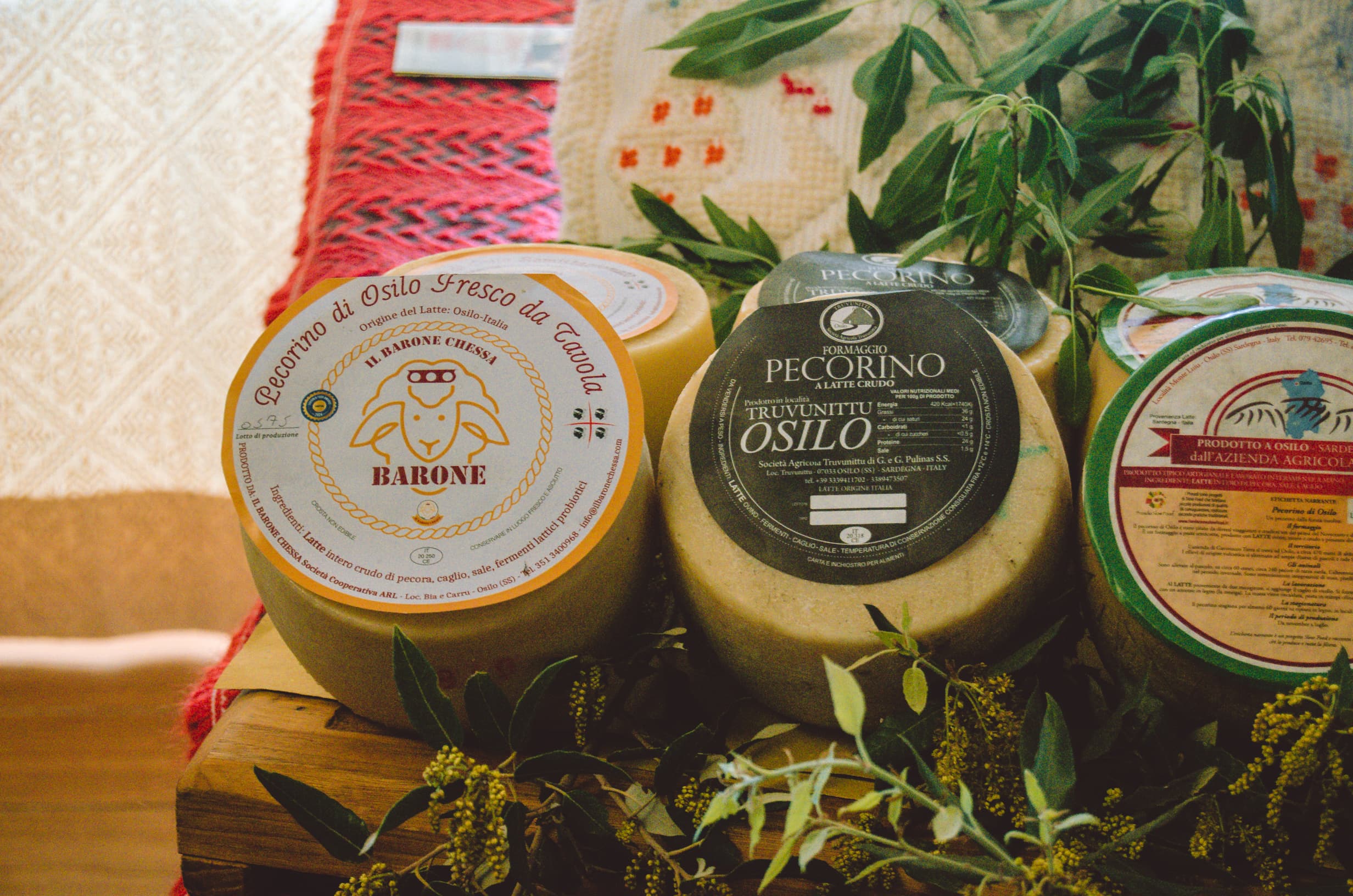 Pecorino di Osilo
