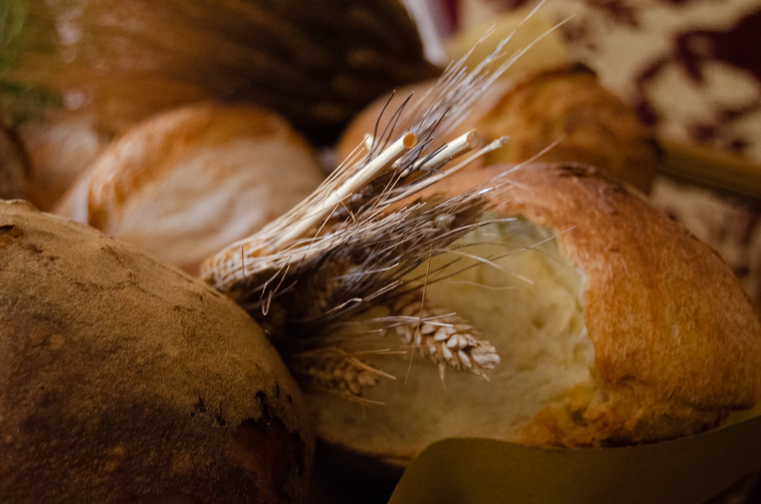 Pane tradizionale di Osilo