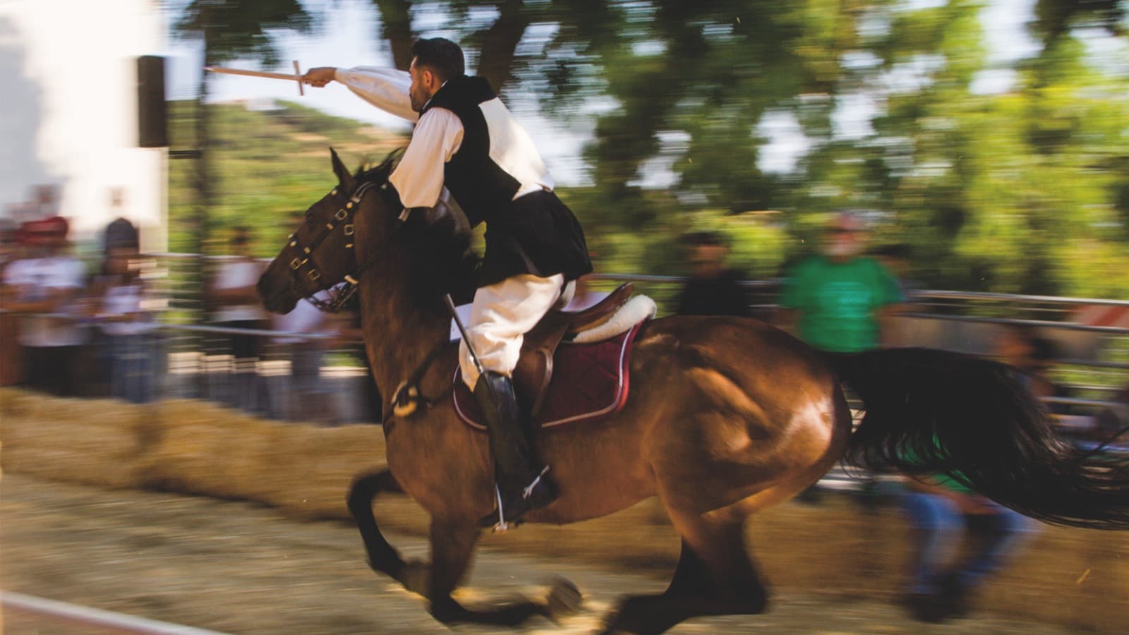 Cavaliere durante la Corsa all'Anello
